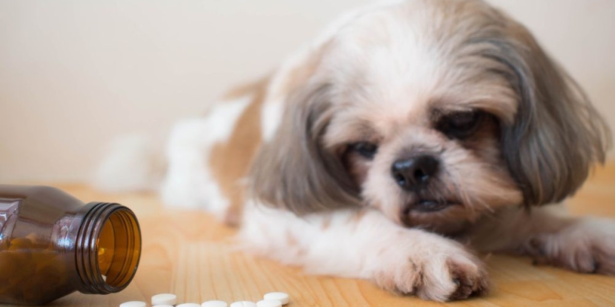 Pet Supplement Market Segment Analysis: Nutritional, Therapeutic, and Preventative Products