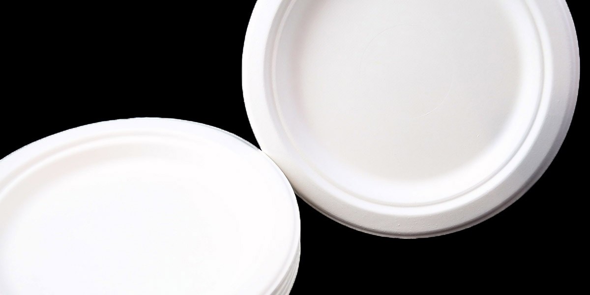 How Compostable Plates Contribute to Green Certifications for Hotels in the USA