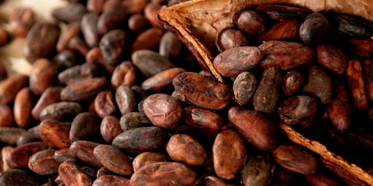 Cocoa Market Competitive Intelligence and Market Research: Emerging Trends and Demand Forecast