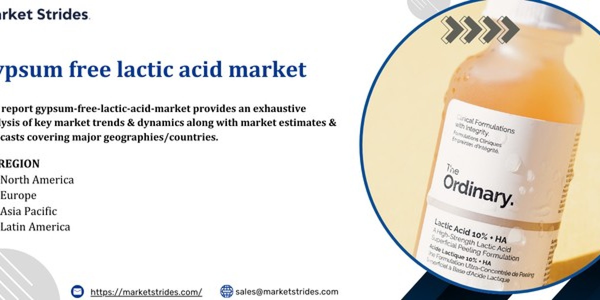 Gypsum Free Lactic Acid Market Outlook 2025-2033: Opportunities and Growth