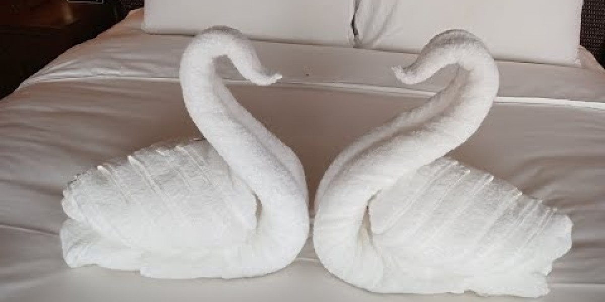 The Rise of Eco-Friendly Amenities in Hotels and Why You Should Care