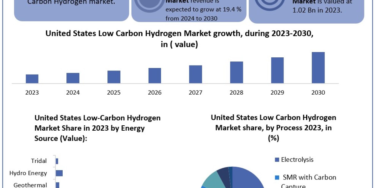 United States Low-Carbon Hydrogen Market  Global Share, Segmentation, Analysis, Future Plans and Forecast 2024-2030