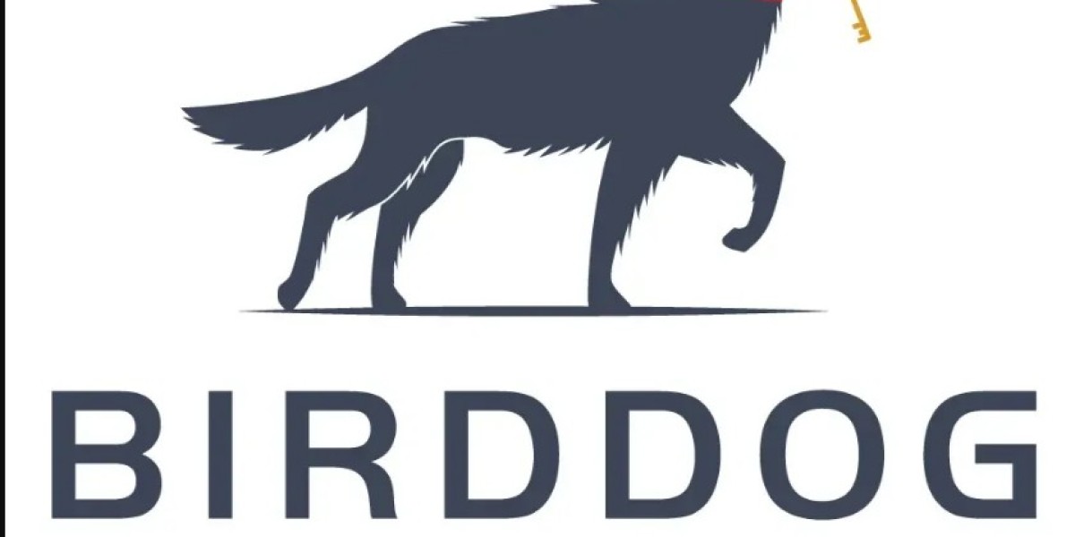 BirdDog Investment Group: Your Trusted Real Estate Partner