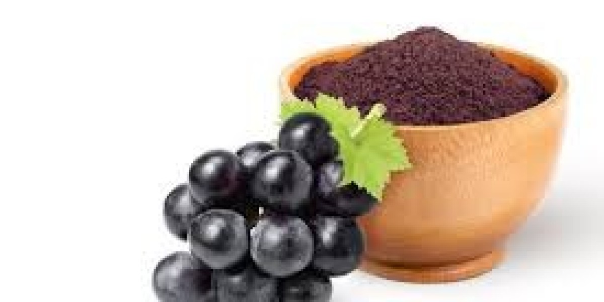 Grape Skin Extract Market Strategic Overview: Key Insights into Market Trends, Growth Drivers, and Future Prospects