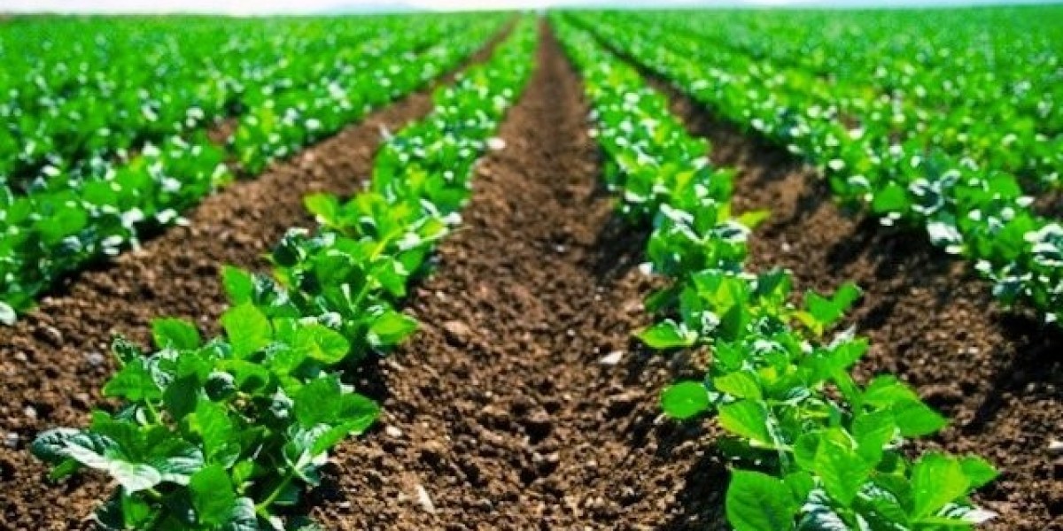 Biofertilizer Manufacturing Plant 2024: Detailed Project Report, Raw Materials Cost and Unit Setup