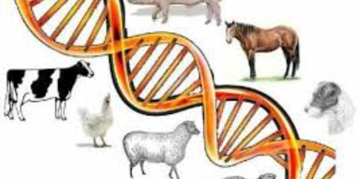 Animal Genetics Market: Advancements in Genomic Selection for Livestock