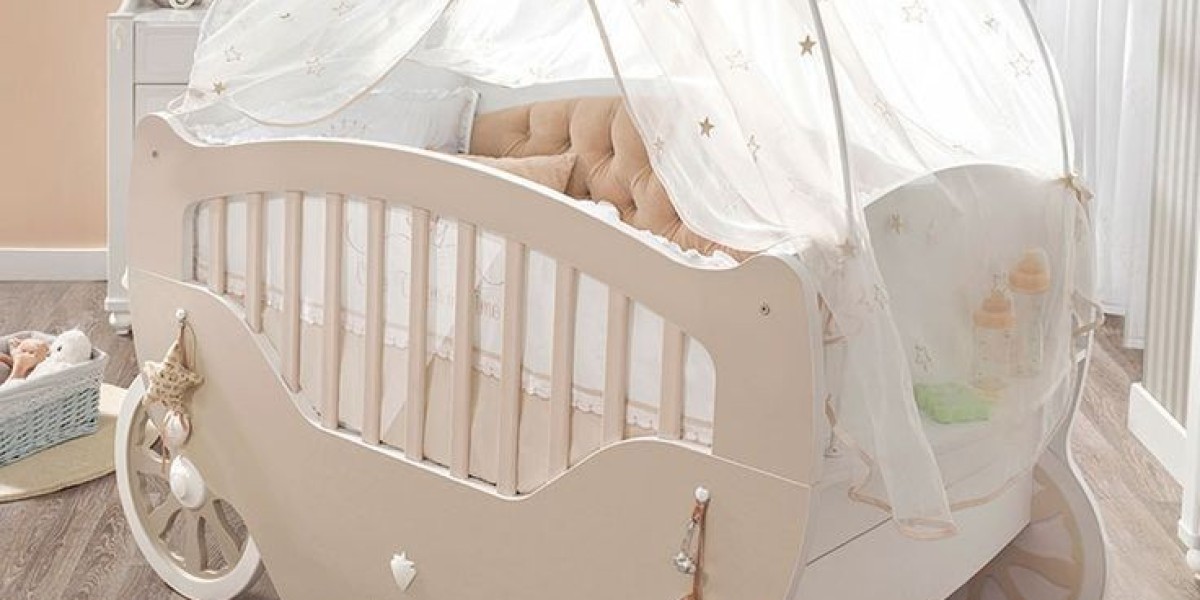 Baby Bassinets Market Forecast: Future Revenue Growth and Market Prospects
