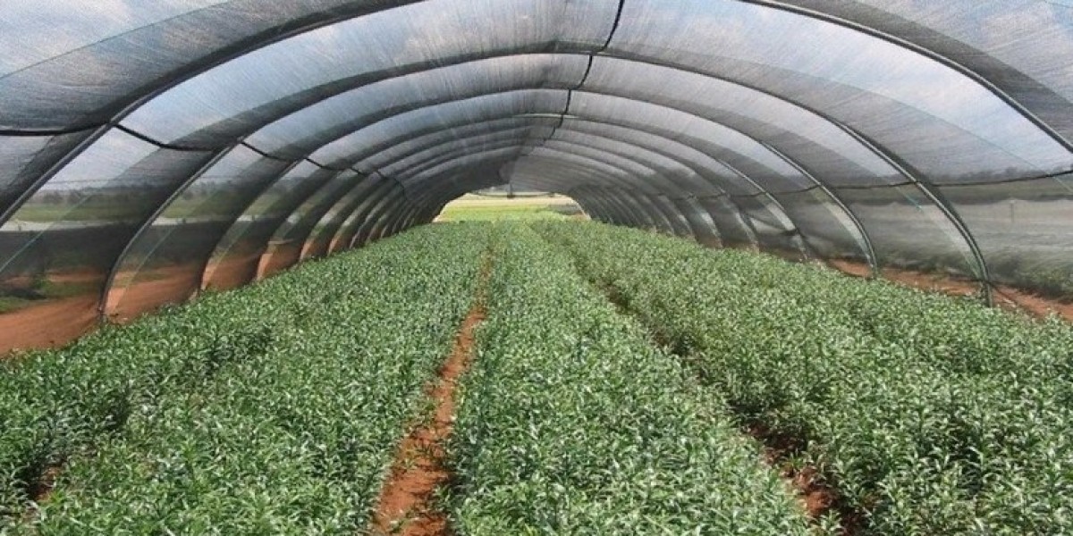 Agricultural Textiles Market Production Scenario: Evaluating Manufacturing Trends and Innovations