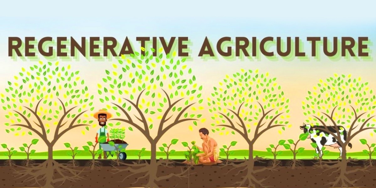 Regenerative Agriculture Market Global Industry, Size, Revenue, Global Industry, Trends Report 2031