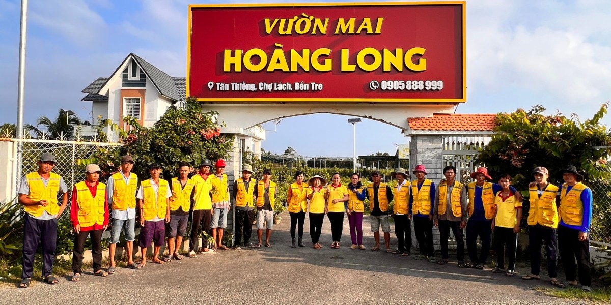 Cận Tết: Làng Mai Bình Lợi Lặng Lẽ Chờ Khách