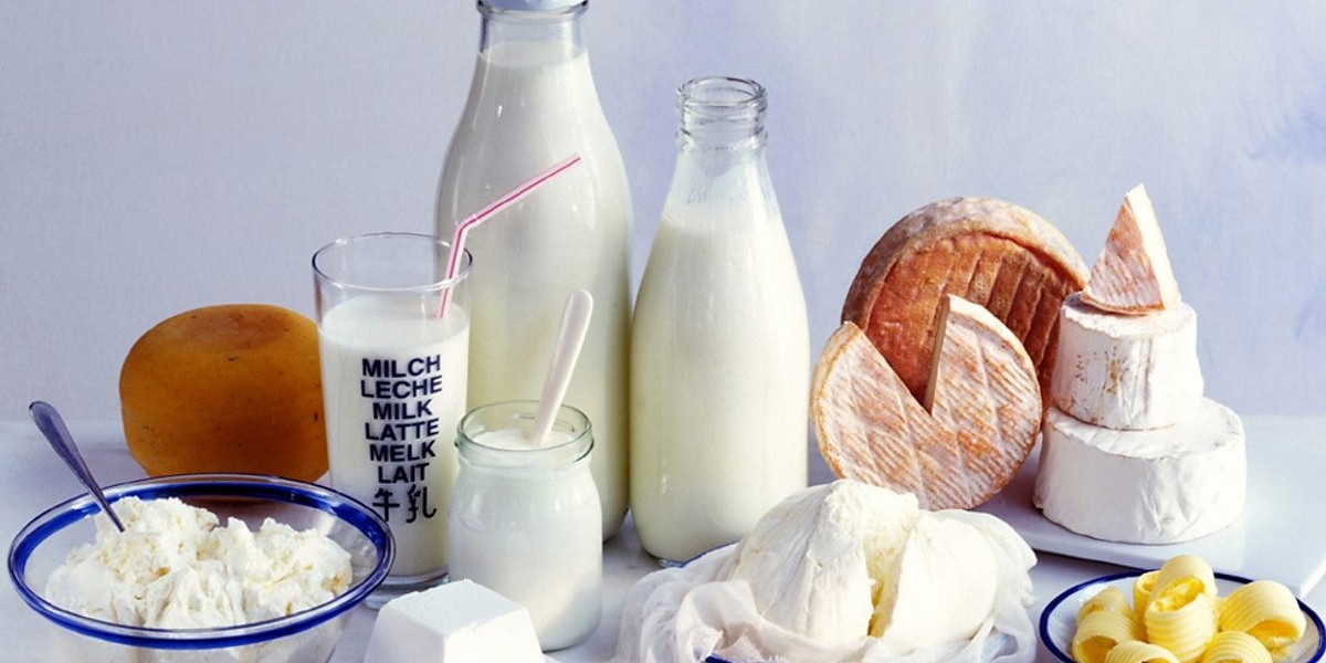 Dairy Concentrates Market: Insights into Key Impacting Factors