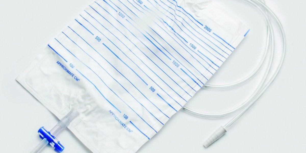 Urinary Bag Market: A Global Overview of Key Manufacturers and Market Share Dynamics