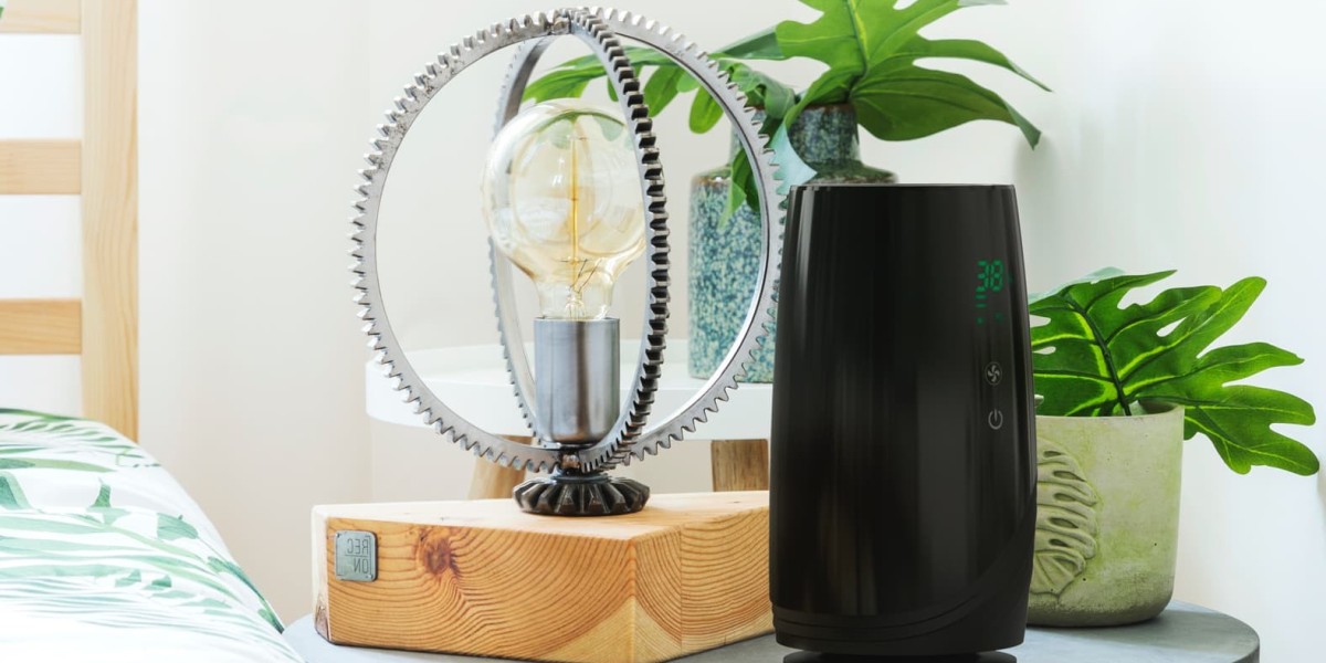 Air Purifier Market Analysis: Regional and Global Perspectives