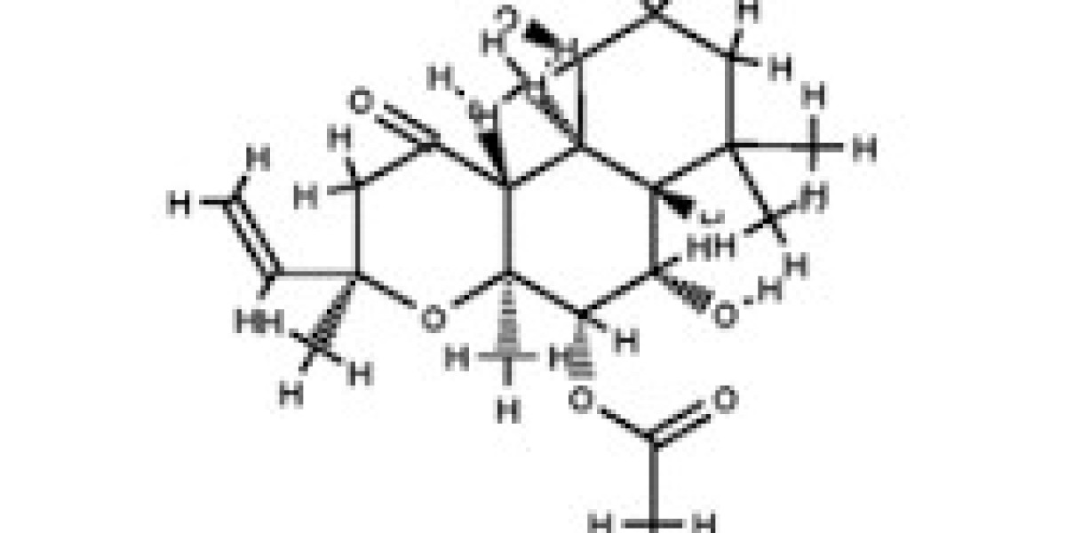 Forskolin Market Disruptions: How Technological Advancements, Consumer Trends, and New Entrants are Reshaping the Market