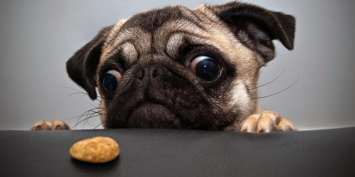 Pet Food Market: Overcoming Regulatory, Cost, and Sustainability Challenges