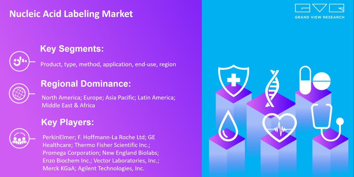 Nucleic Acid Labeling Market Report Is Set For Global Lead With Immense Development Trends By 2030 |Grand View Research,