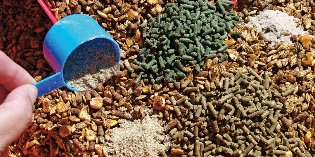 Animal Feed Additives Market: Facing Challenges in Cost, Regulation, and Sustainability