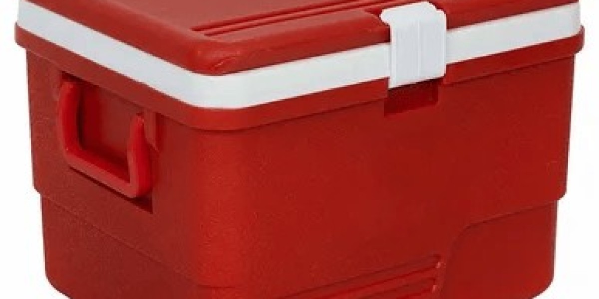 Ice Boxes Market: The Role of Technology in Enhancing Cooling Efficiency
