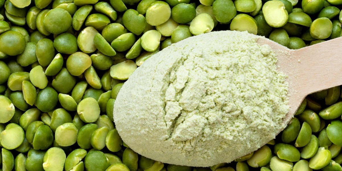 Pea Fiber Market: The Role of Consumer Trends and Sustainability in Shaping the Future