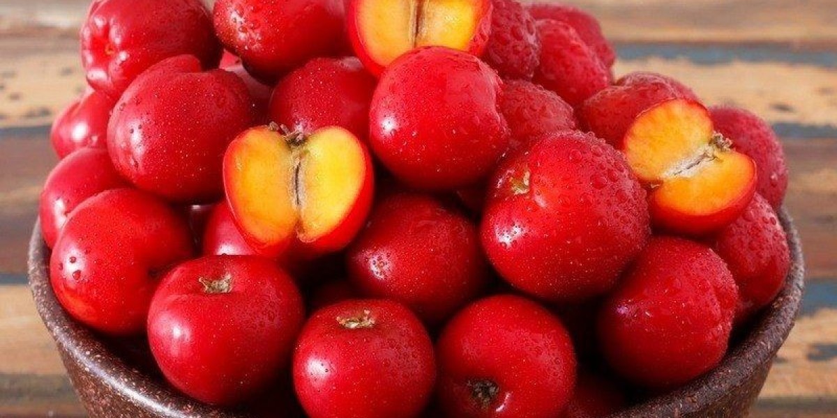 Acerola Extract Market Positioning: How Companies Are Navigating Competitive Terrain
