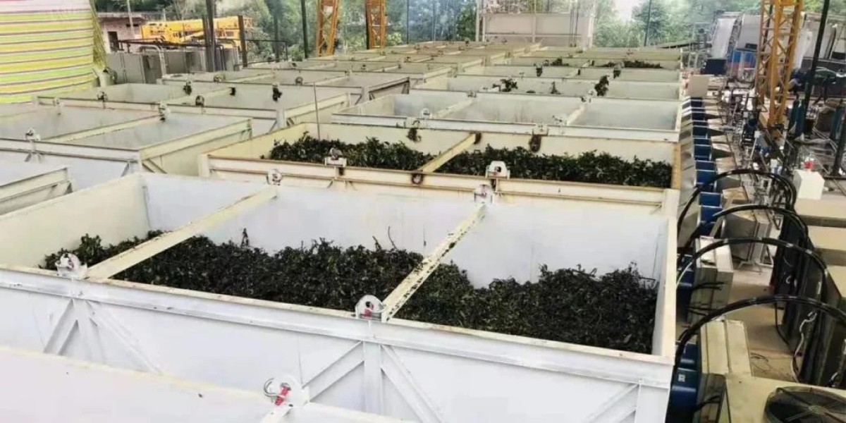 Industrial Applications of Pepper Drying Machines in Food Processing