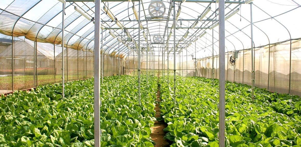 Agricultural Textiles Market