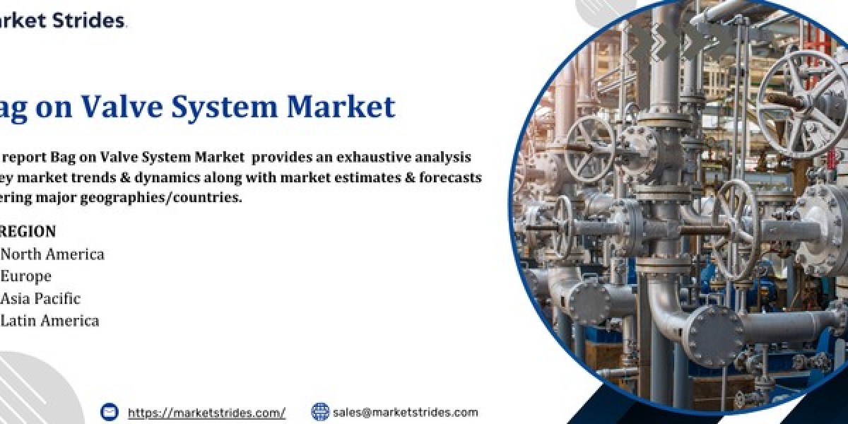Bag On Valve System Market Industry: Growth and Forecast 2033 | Market Strides