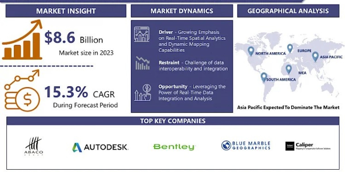 Geographic Information System (GIS) Software Market Navigating the Market Landscape: Size, Growth, and Share