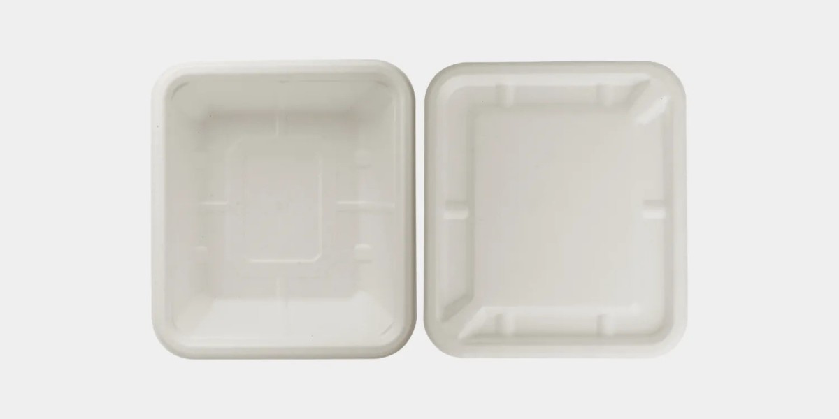 How Biodegradable Food Containers Help Maintain Freshness and Quality
