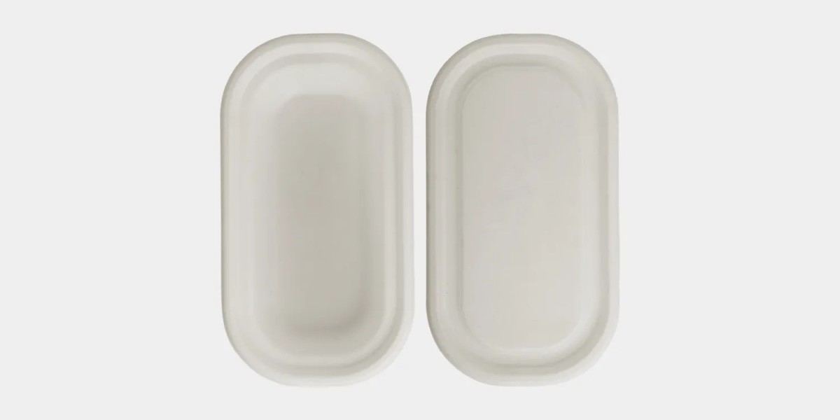 Exploring Biodegradable Food Containers with Lids for Large-Scale Food Events