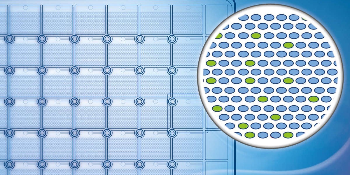 Digital Polymerase Chain Reaction (PCR) Market Report, Outlook and Forecast 2024-2032