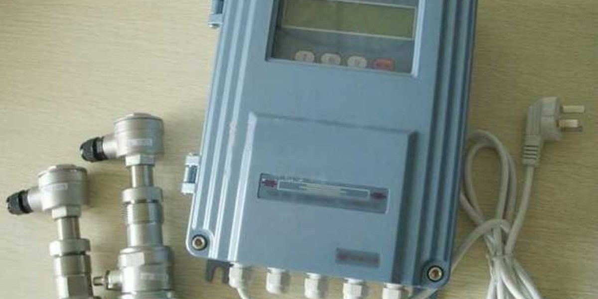 Exploring Future Innovations in the Ultrasonic Flowmeter Market