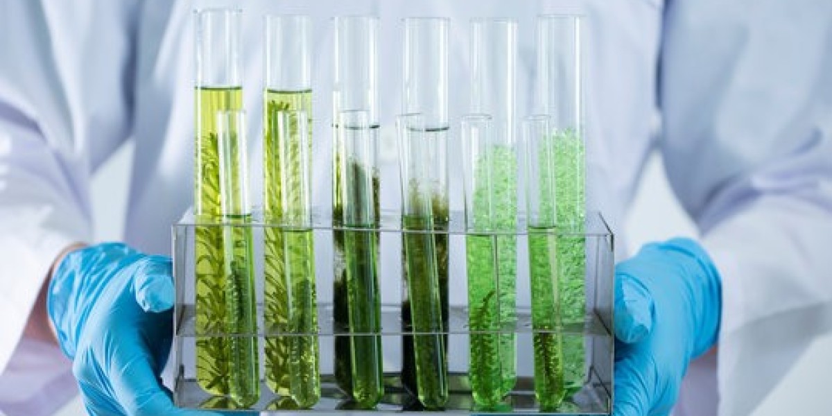 Bioprocess Technology Market Recent Growth