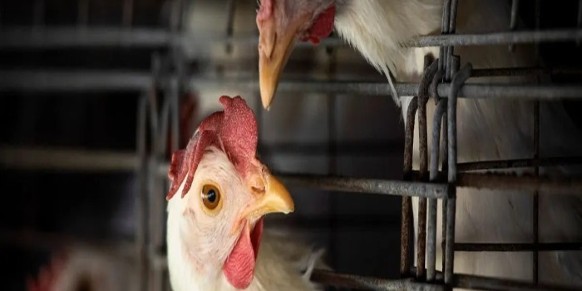 The Global Bird Flu Market will grow at highest pace owing to rising government initiatives for bird flu vaccine develop