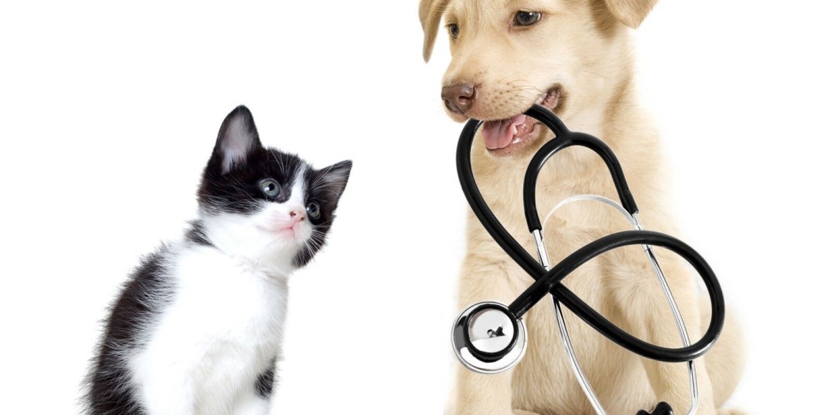 Companion Animal Drug Market: Key Factors Accelerating Demand and Advancements