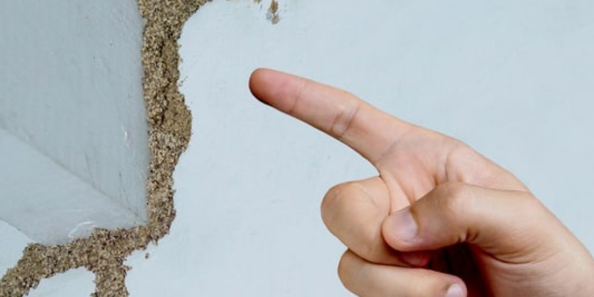 Termite Troubles Top Reasons to Schedule an Termite Inspection Today