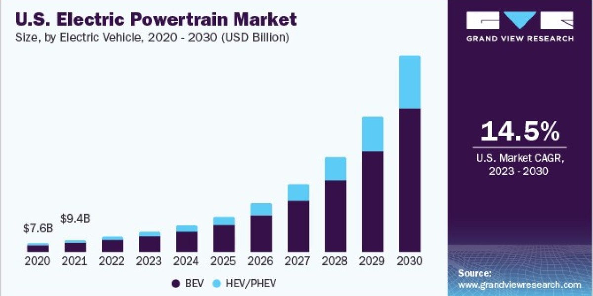 Electric Powertrain Market Segmentation: Analyzing Application Areas