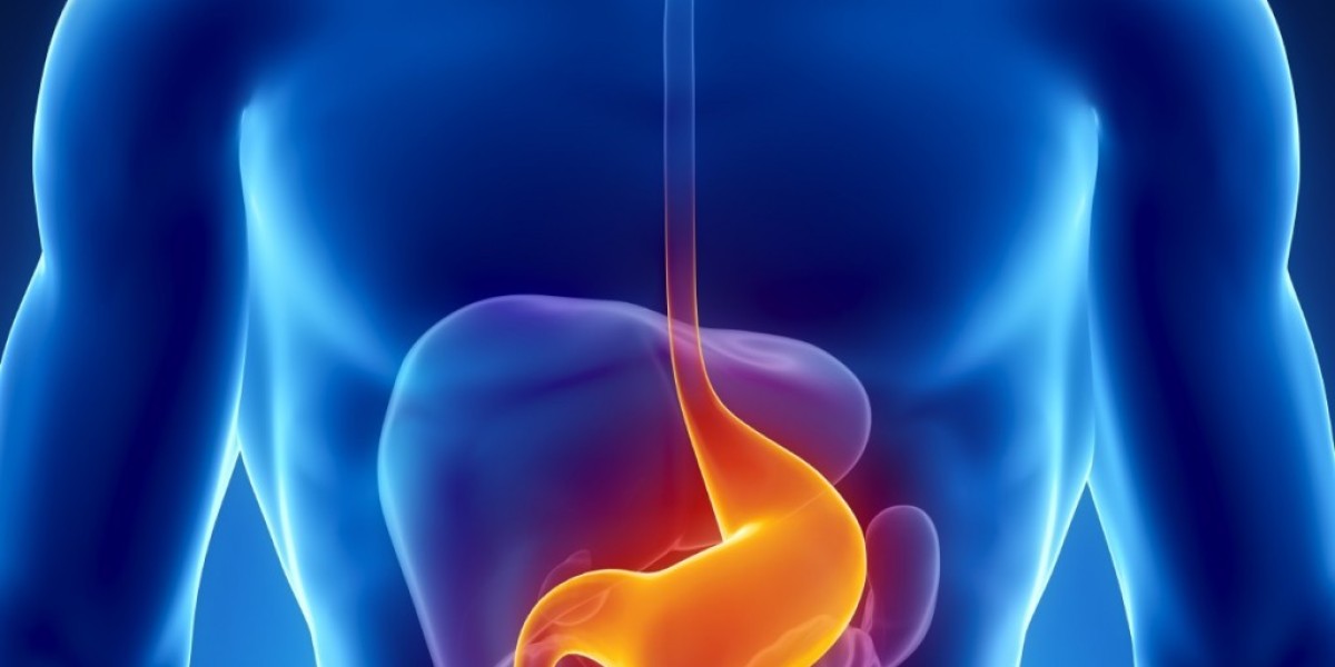 Diabetic Gastroparesis Treatment Market: Exploring New Opportunities in Treatment and Care