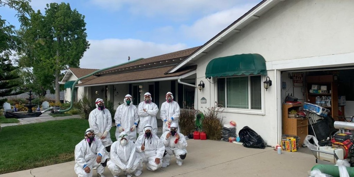 Eco-Friendly Insulation for Sustainable Home Comfort