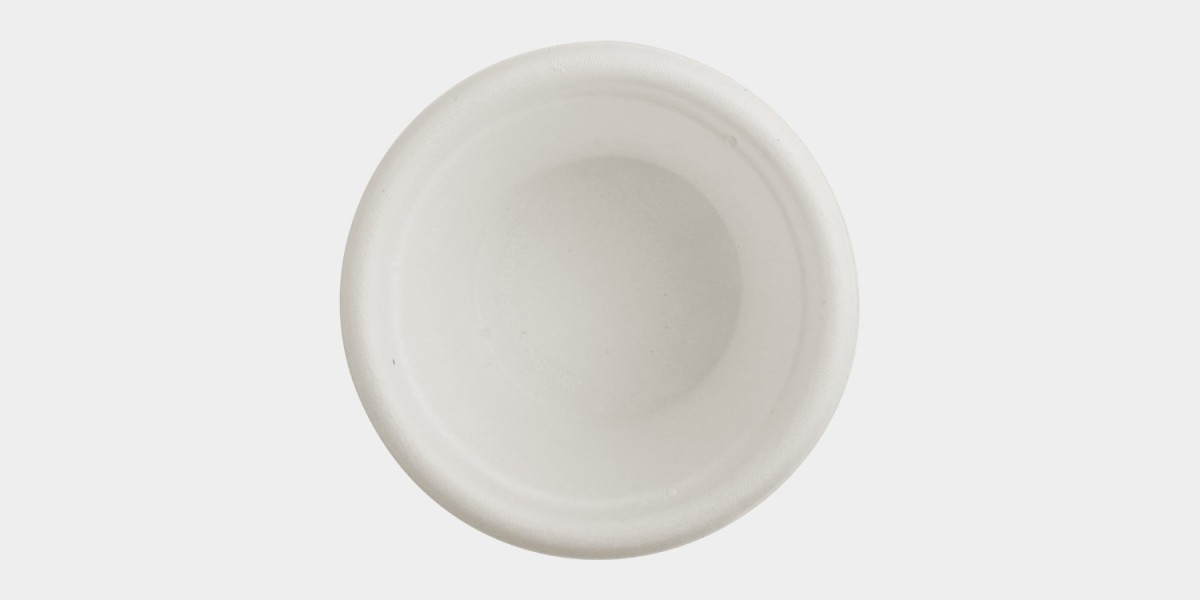 The Economic and Environmental Impact of Biodegradable Dinnerware for USA Hotels