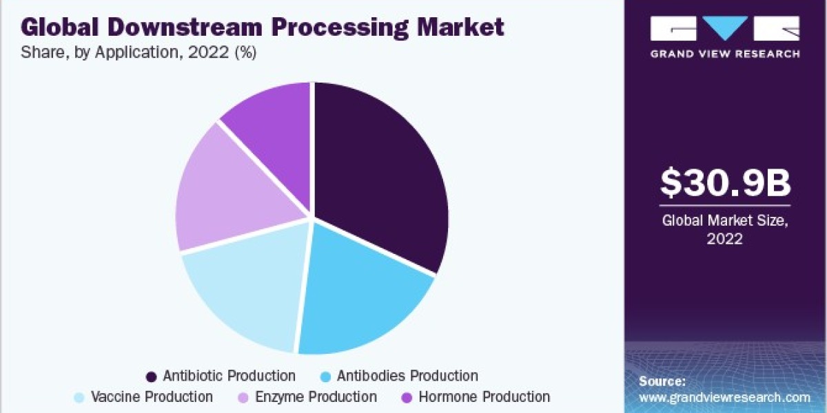 Downstream Processing Market: Analyzing Growth Opportunities and Challenges in 2024
