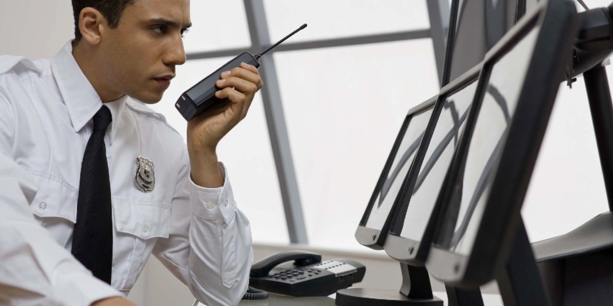 Security and Protection Services in Hamilton: Ensuring Safety for All