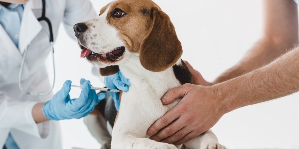 Veterinary Vaccines Market Research: Current Trends, Long-Term Outlook, and Strategic Developments