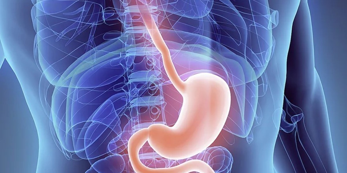 Diabetic Gastroparesis Treatment Market: The Future of Effective Therapies and Personalized Care