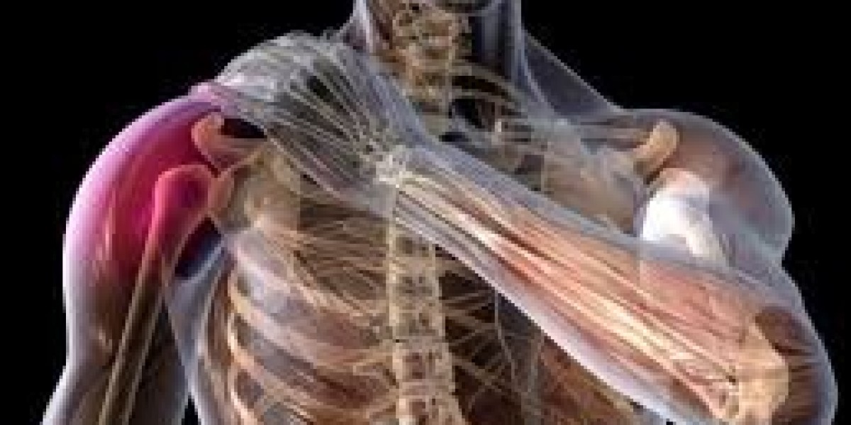 Prosoma 500mg: A Comprehensive Overview