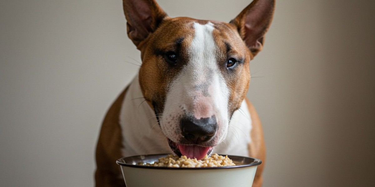 ¿Pueden los perros comer avena?
