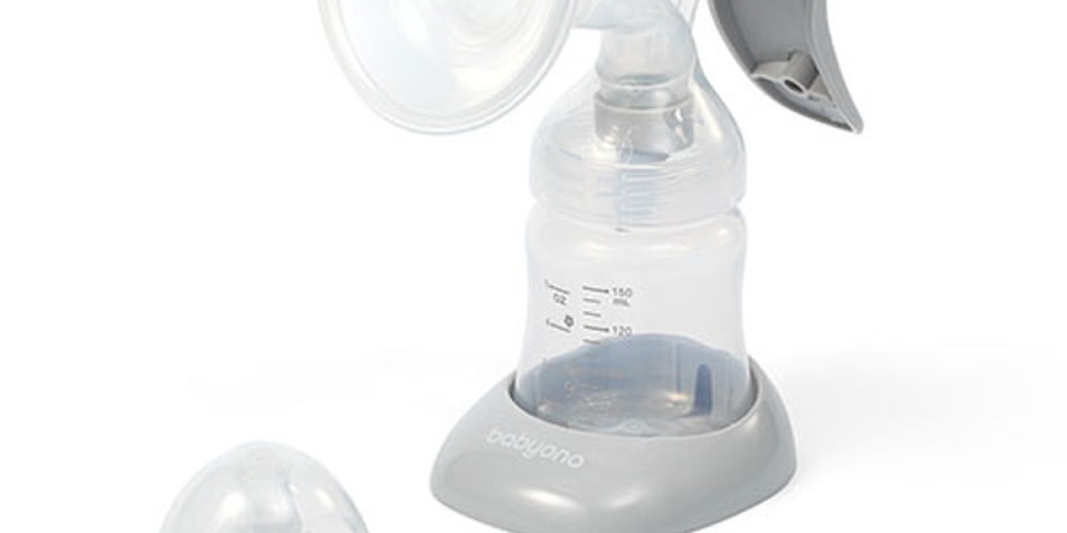 Breast Pump Market Segmentation: In-Depth Analysis of Product Types, Applications, and Distribution Channels