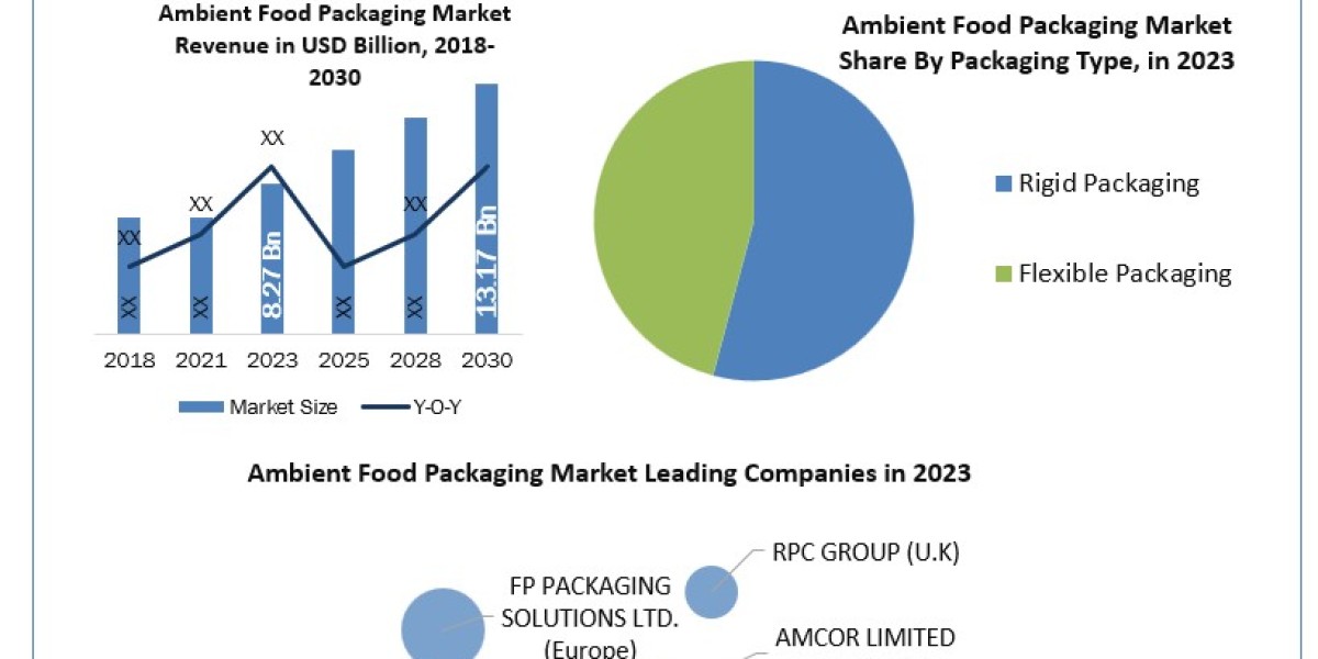 Ambient Food Packaging Market Trends, Growth Forecast, Regions, Type, Manufacturers 2030