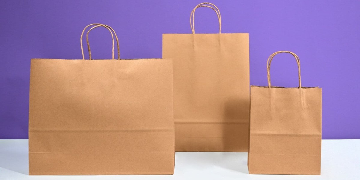 Establishing a Profitable Paper Bag Manufacturing Plant Report 2024: Setup and Cost Details