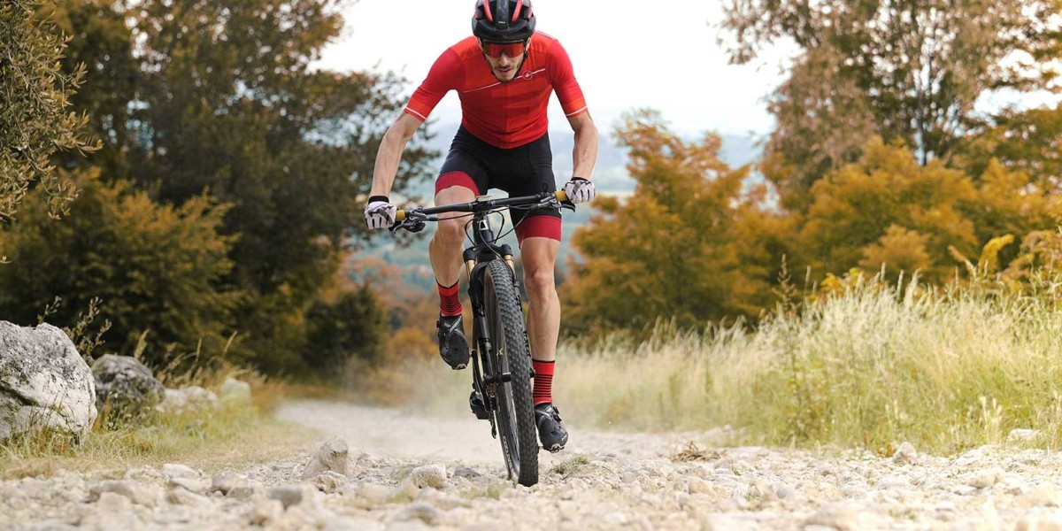Cycling Power Meters Market Revenue to Climb to USD 647.4 Million by 2033